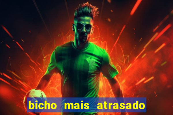 bicho mais atrasado na bahia